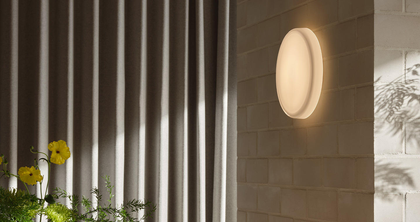 Looped Wall/Ceiling Light