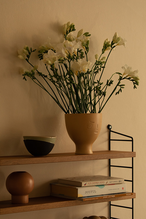 Artek Midsummer Dream Vase on String Pocket Shelving