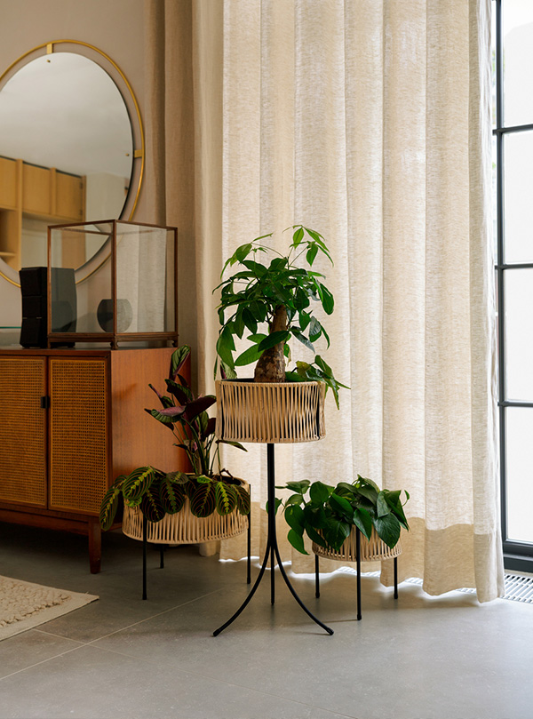 3 Wicker Umanoff Planters in front of a neutral curtain