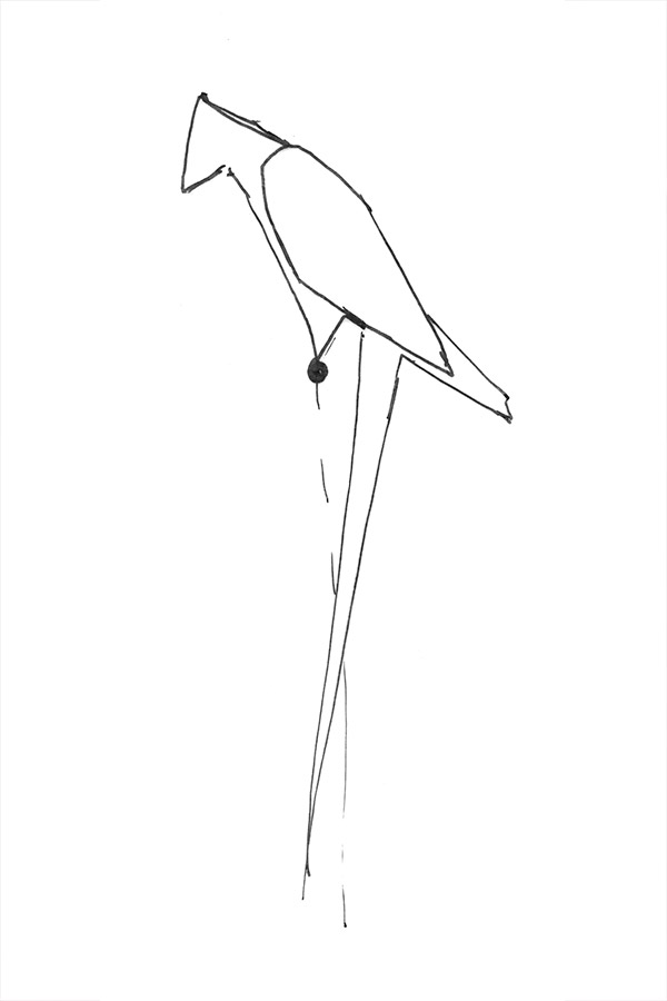 Concept sketch of the Moooi perch light by Umut Yamac