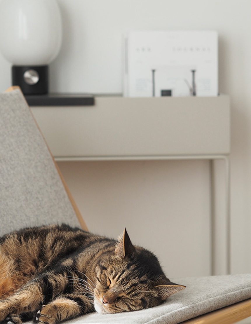 Inside your homes: Hannah Trickett