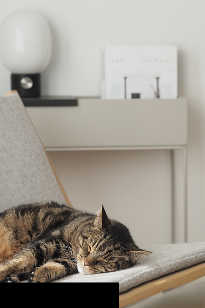 Inside your homes: Hannah Trickett