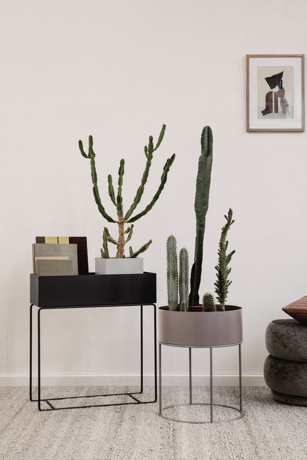 Ferm Living Plant Boxes with cactus