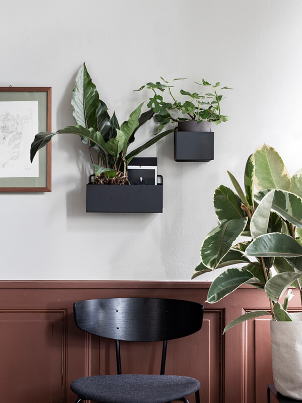 2 Ferm Living Square Wall Plant Boxes in black with plants
