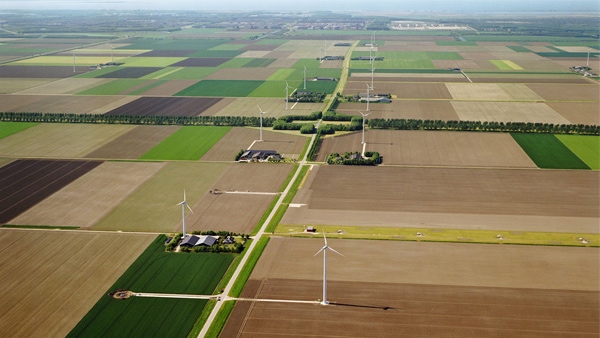 Checkerboard Polder fields in the Netherlands