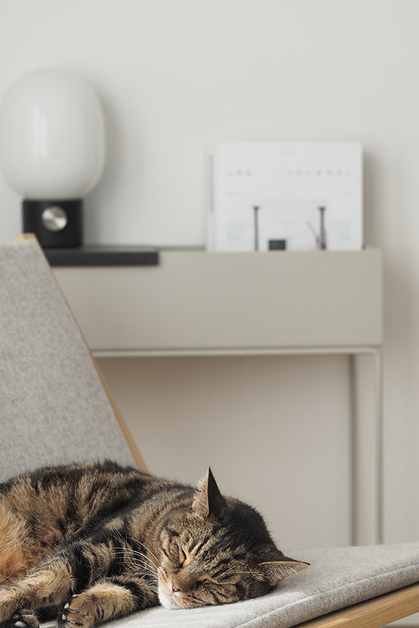 Hannah Tricketts home featuring the JWDA table lamp & the Ferm Living plant box