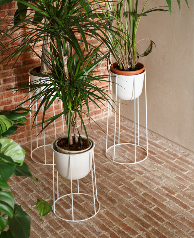 In the press: March 2017