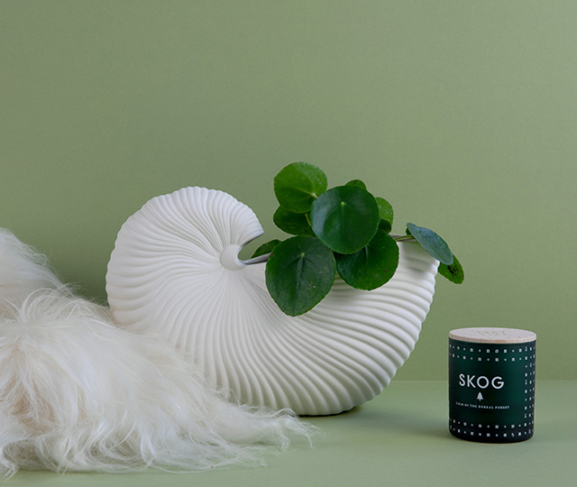 Give the Gift of Great Design Design Gifts nest.co.uk