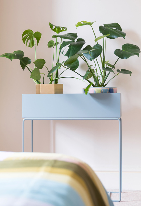 Ferm Living Plant Box with plants