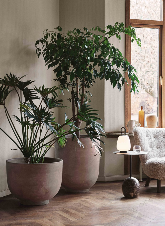 In the press: May 2020