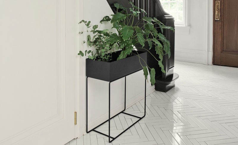 Green house plant in a black rectangular plant box in a hallway with a white tiled floor