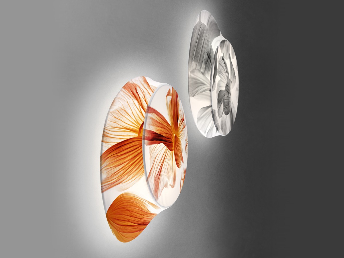 Buy the Foscarini Wagashi Wall/Ceiling Light at nest.co.uk