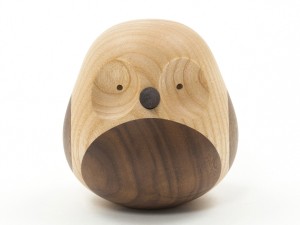 Discipline Re-Turned Owl