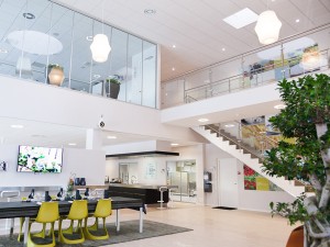 Zero Loom Pendant Light