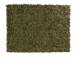 nanimarquina Little Field of Flowers Rug - Green