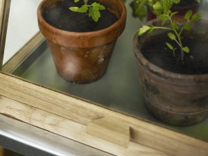 Skagerak Spira Green House