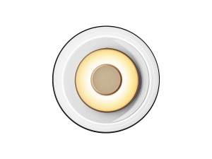 Nuura Blossi Wall / Ceiling Light