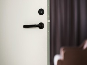 Buster + Punch Door Lever Handle - Sprung