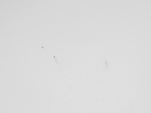 Ex-Display Flos Glo-Ball Suspension Light