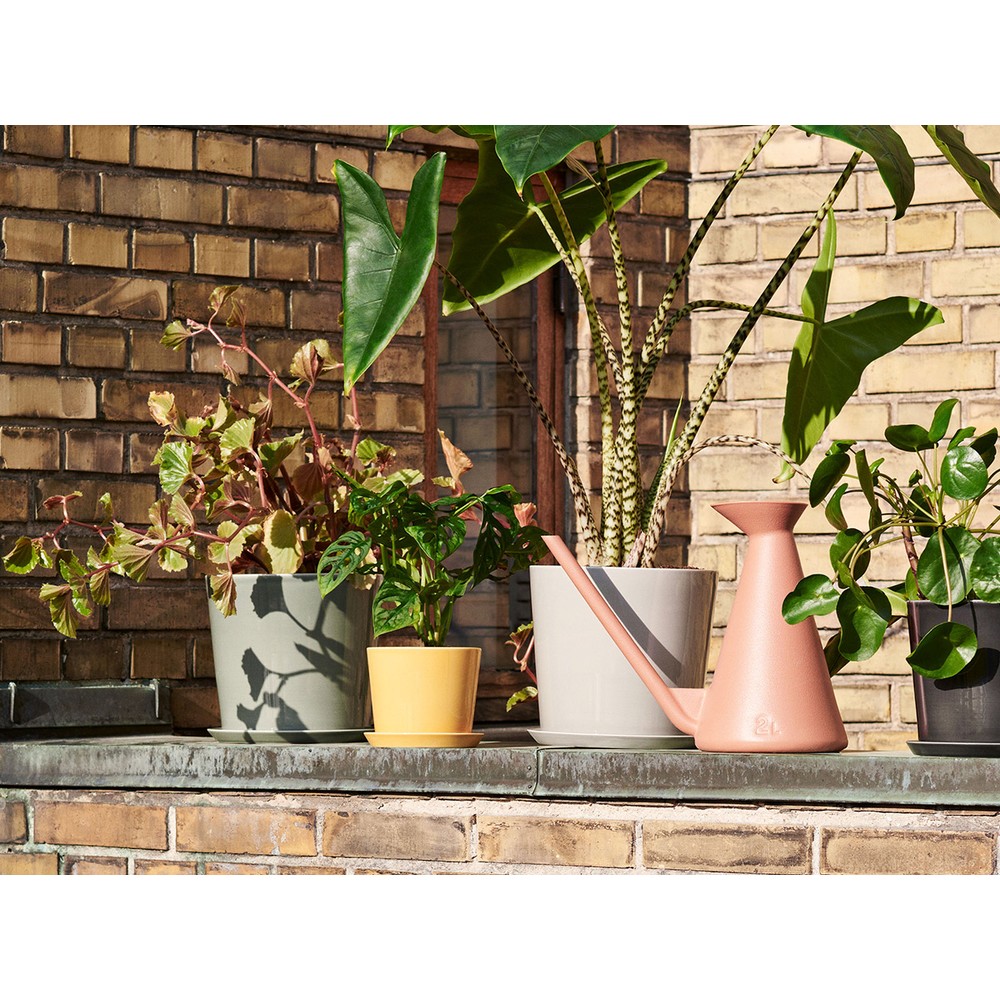 Buy the Hay Watering Can at nest.co.uk