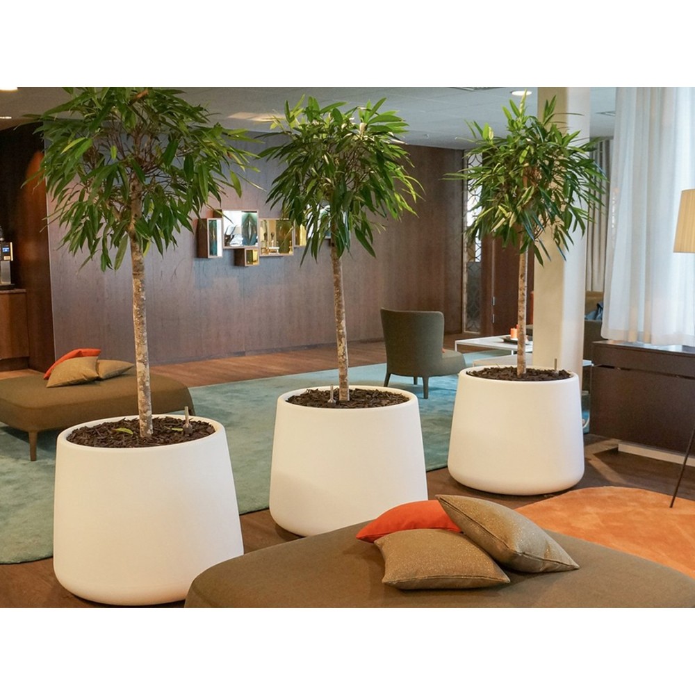 Buy the Magis Tubby Outdoor Plant Pot at nest.co.uk