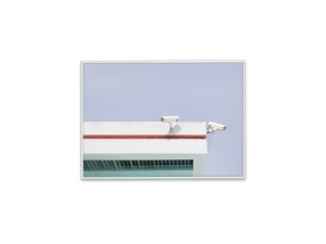 Paper Collective Los Angeles is Pink Print Collection