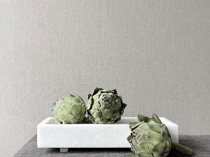 101 Copenhagen Formalism Tray