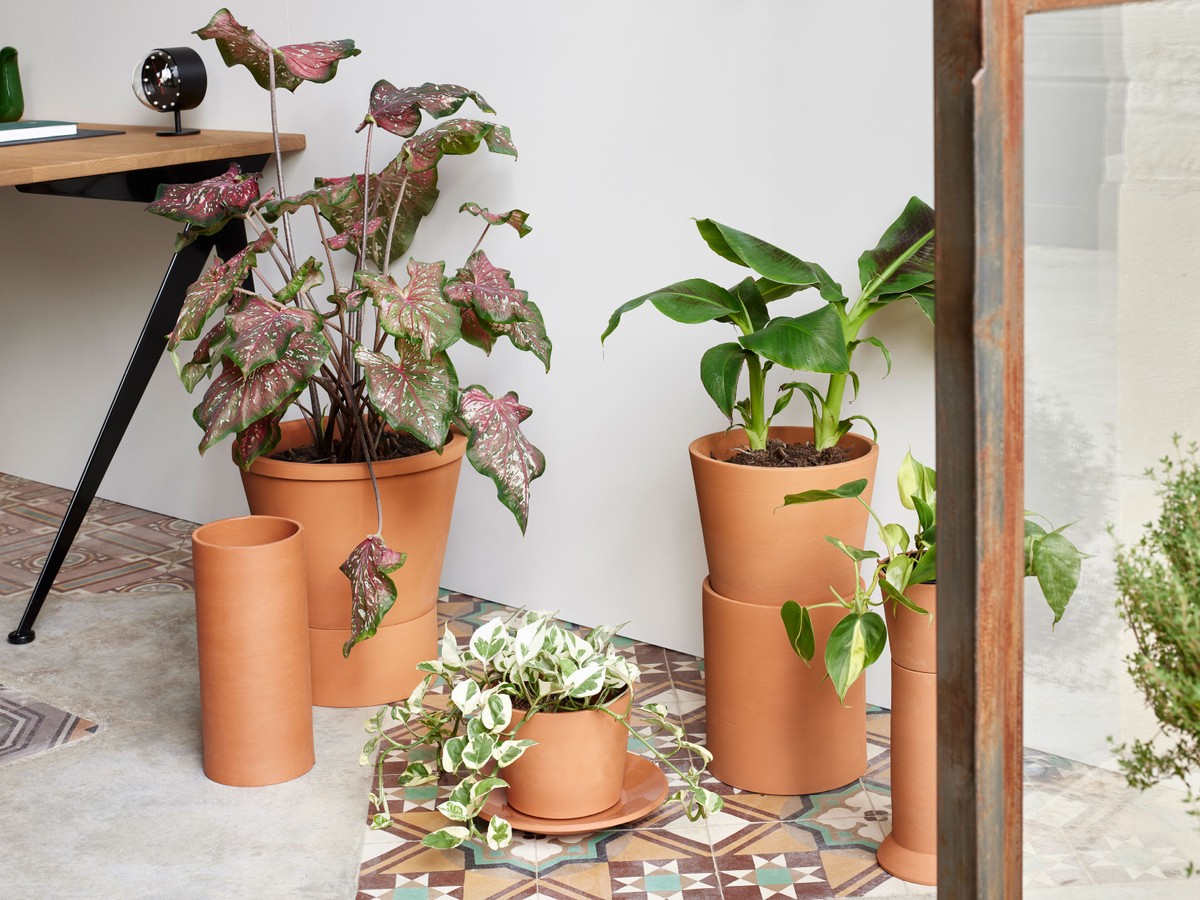 Buy the Vitra Terracotta Pot - Medium at nest.co.uk