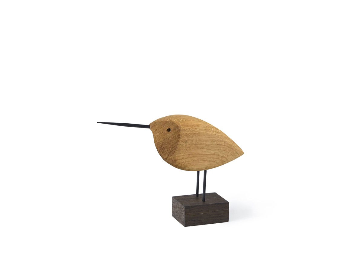 Warm Nordic Beak Bird - Awake Snipe