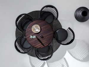 Tom Dixon Fan Dining Chair