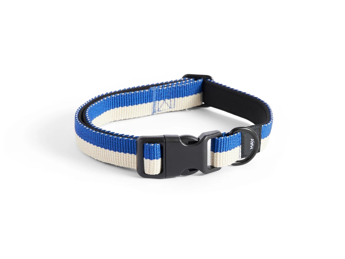 HAY Dogs Collar