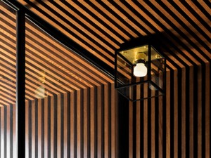 Buster + Punch Caged Wet Ceiling Light - Small