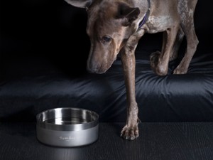 Buster + Punch Dog Bowl