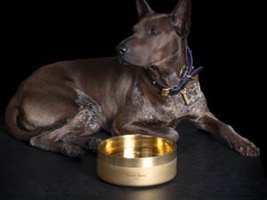 Buster + Punch Dog Bowl