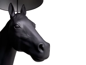 Moooi Horse Floor Lamp