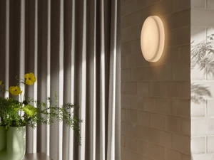 Muuto Looped Wall/Ceiling Light