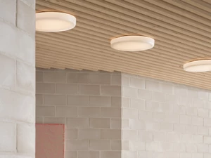 Muuto Looped Wall/Ceiling Light