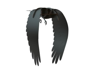 ibride Karl Flying Raven