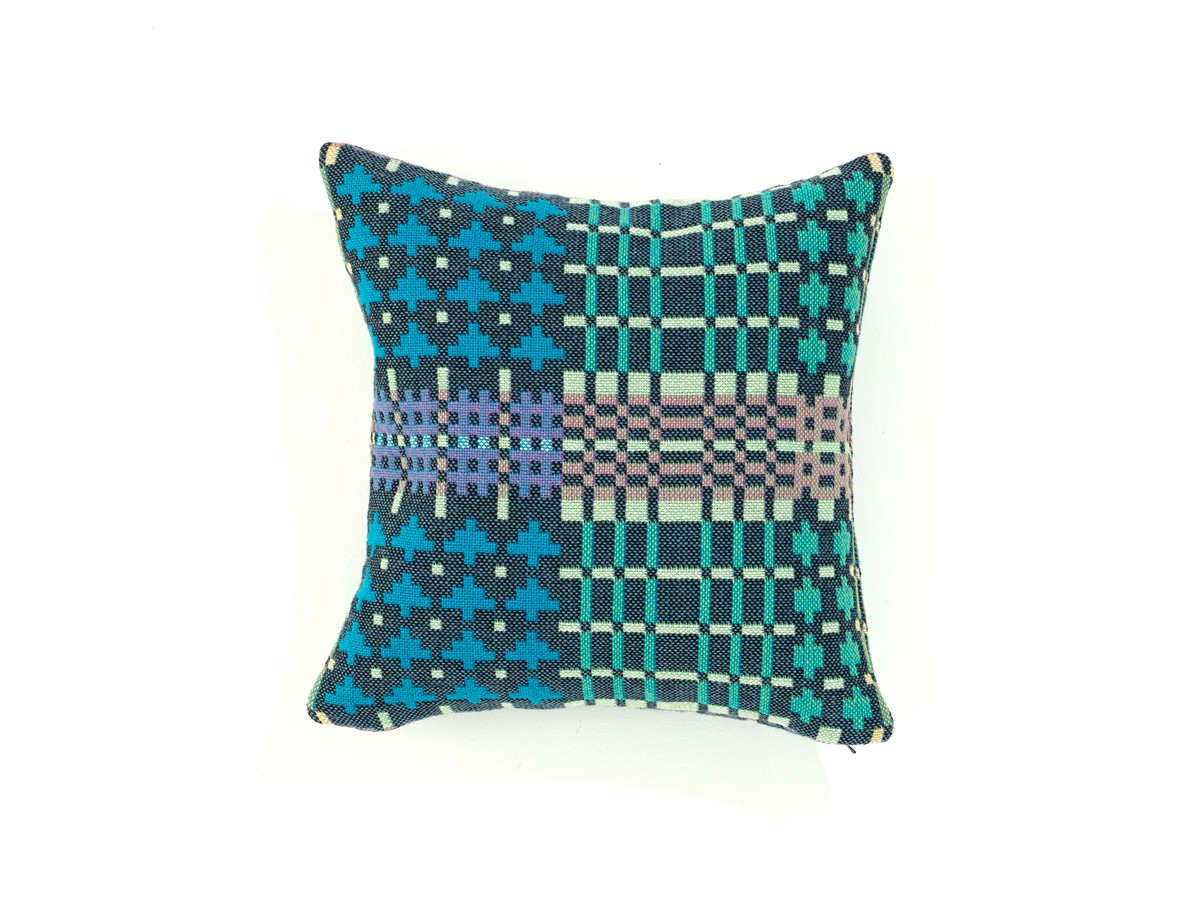 SCP Field Day Cushion